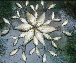 post-26941-0-11464000-1423842811_thumb.j