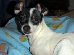 post-26941-0-65112800-1423826651_thumb.j