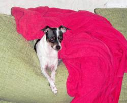 post-26941-0-88014600-1423826577_thumb.j