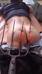 post-28141-0-07518900-1423934589_thumb.j