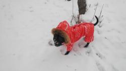 post-2863-0-23459200-1423934081_thumb.jp