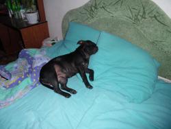 post-2863-0-50088800-1423844335_thumb.jp