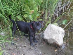 post-2863-0-89188900-1423844310_thumb.jp