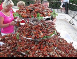 post-29140-0-09164700-1423928499_thumb.j