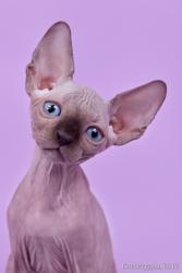 post-29140-0-09409900-1425139504_thumb.j