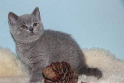 post-29140-0-56576400-1423929560_thumb.j