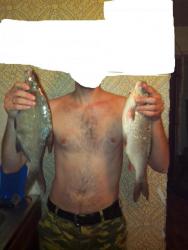 post-30190-0-19572100-1424106011_thumb.j