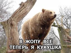 post-30211-0-63597800-1422804081_thumb.j