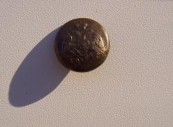 post-30855-0-47875500-1424447107_thumb.j