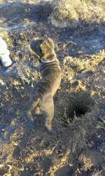 post-31336-0-14731700-1424633645_thumb.j