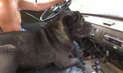 post-31336-0-55845400-1424633609_thumb.j