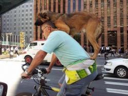 post-31368-0-03868500-1423644655_thumb.j