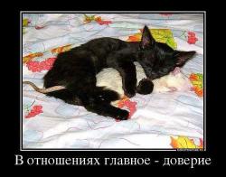 post-31368-0-43488400-1423645001_thumb.j