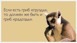 post-31368-0-43797400-1423645132_thumb.j