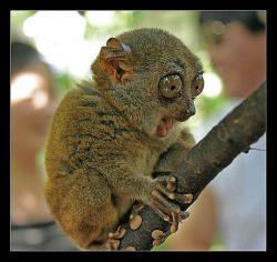 post-31368-0-57513900-1423644459_thumb.j