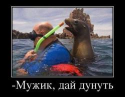 post-31368-0-68611000-1423644618_thumb.j