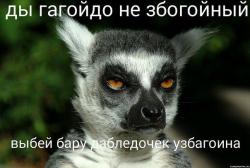 post-31368-0-68859600-1423645121_thumb.j