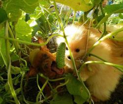 post-31368-0-79209800-1424842594_thumb.j