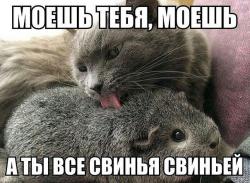 post-31368-0-80519600-1423899405_thumb.j