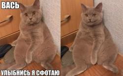 post-31368-0-96384000-1425142876_thumb.j