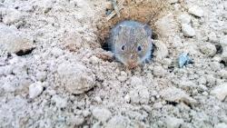 post-31430-0-23135700-1424534743_thumb.j