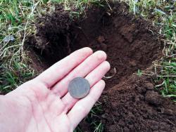 post-31430-0-36406400-1423001475_thumb.j