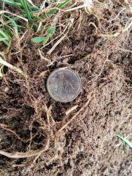 post-31430-0-70526100-1423001550_thumb.j