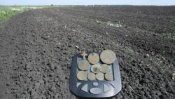 post-32197-0-02918700-1423516569_thumb.j