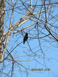 post-32197-0-13086100-1423484384_thumb.j