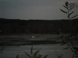 post-32197-0-23380000-1423484715_thumb.j