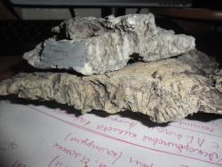 post-32197-0-49608300-1423071172_thumb.j