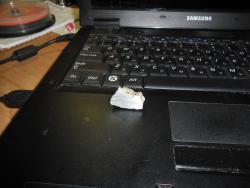 post-32197-0-64730300-1422987448_thumb.j