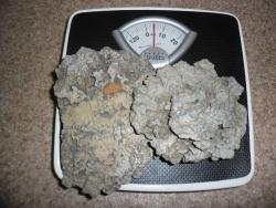 post-32197-0-69760300-1423070954_thumb.j