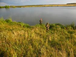 post-32197-0-70835200-1423351964_thumb.j