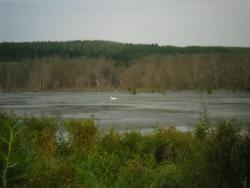 post-32197-0-71064700-1423484592_thumb.j