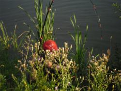 post-32197-0-74086100-1423379282_thumb.j