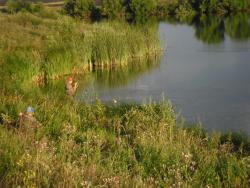 post-32197-0-86568200-1423379499_thumb.j