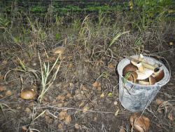 post-32197-0-87774400-1423474278_thumb.j