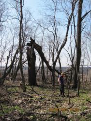 post-32197-0-88665100-1423345291_thumb.j