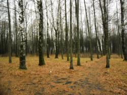 post-32197-0-98935800-1423033281_thumb.j