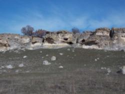 post-32363-0-31243300-1425131313_thumb.j