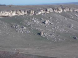 post-32363-0-73409100-1425131331_thumb.j