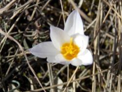 post-32363-0-85886700-1425131356_thumb.j