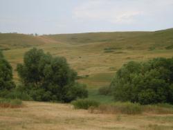 post-32498-0-07812400-1423504308_thumb.j