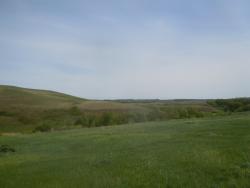 post-32498-0-29423700-1423504096_thumb.j