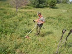 post-32498-0-35182200-1424068494_thumb.j