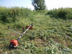 post-32498-0-45708600-1424068395_thumb.j