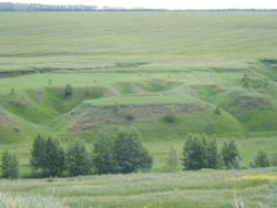 post-32498-0-73846700-1423503747_thumb.j