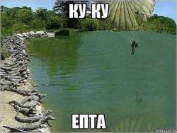 post-32585-0-98266300-1423507772_thumb.j