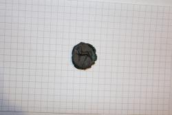 post-33272-0-97025000-1423420355_thumb.j